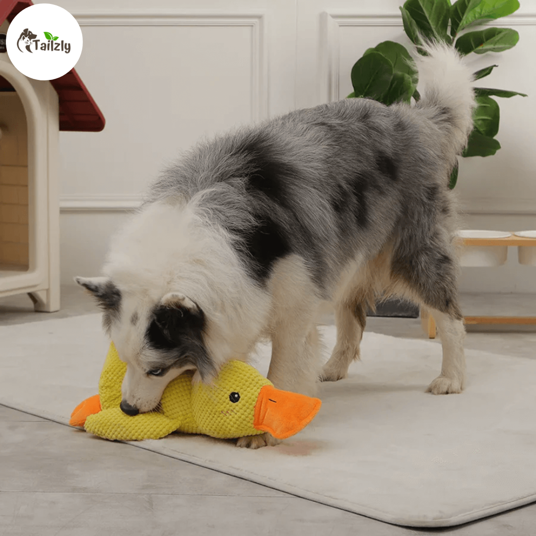 Quackie™ | The calming duck that melts stress away