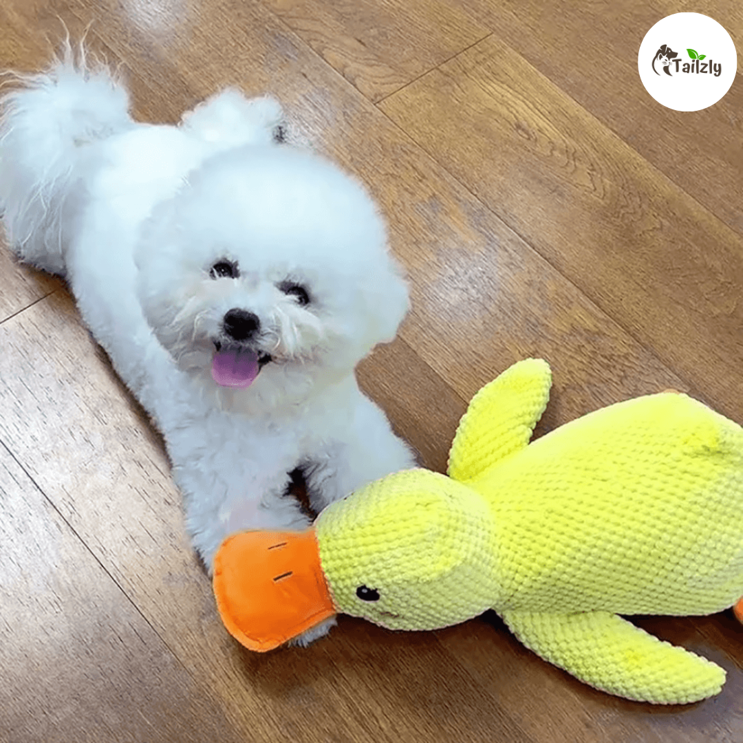 Quackie™ | The calming duck that melts stress away