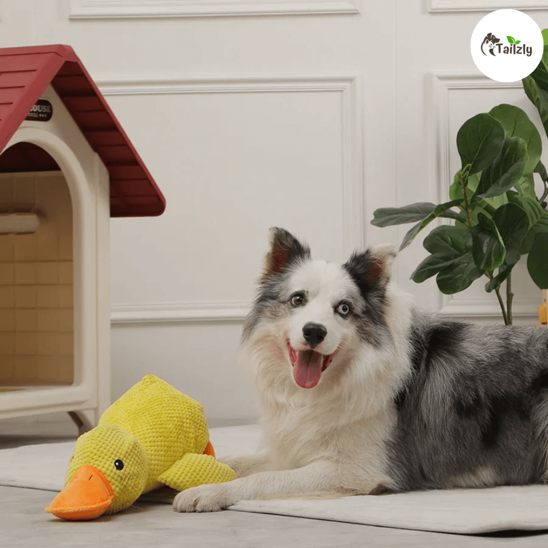 Quackie™ | The calming duck that melts stress away
