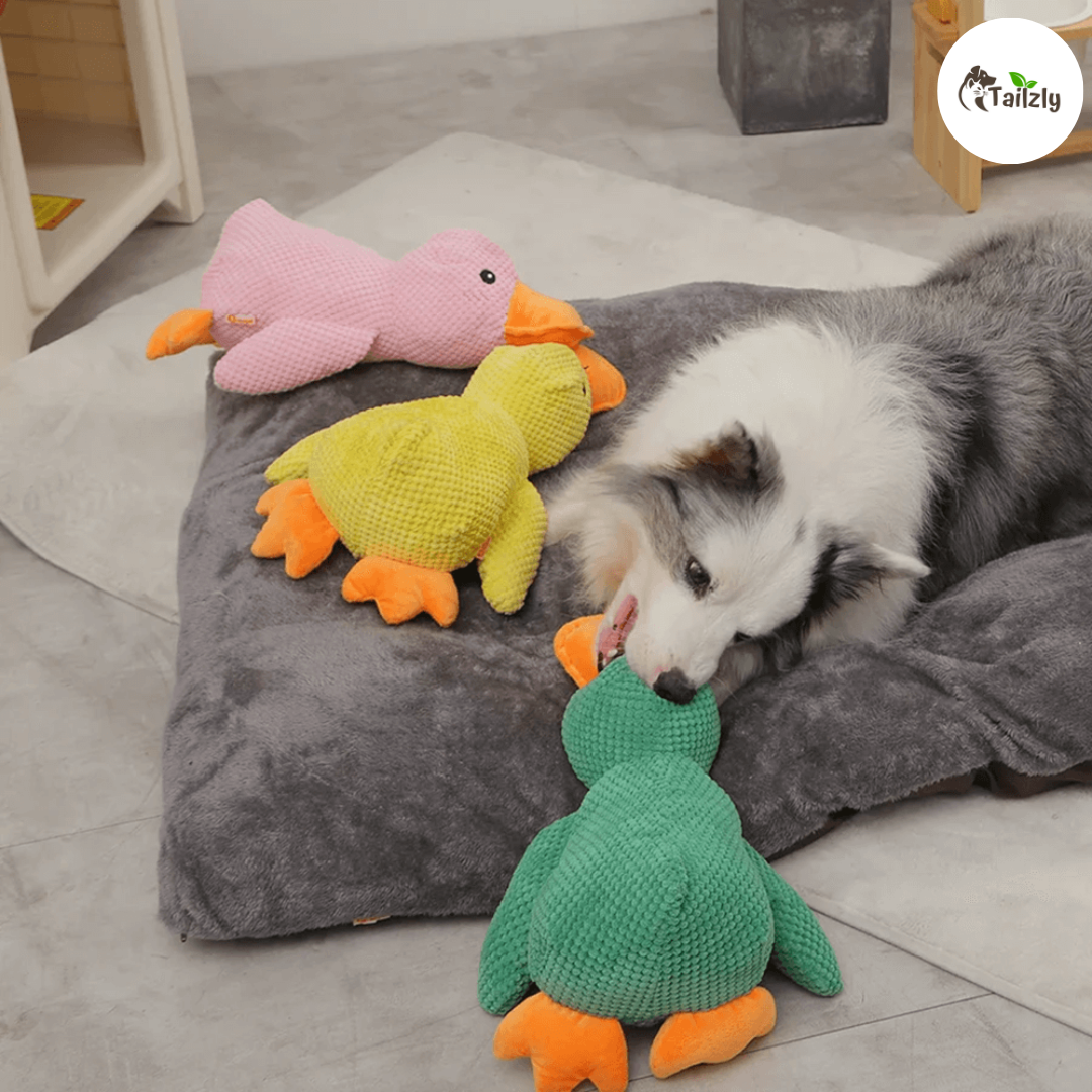 Quackie™ | The calming duck that melts stress away