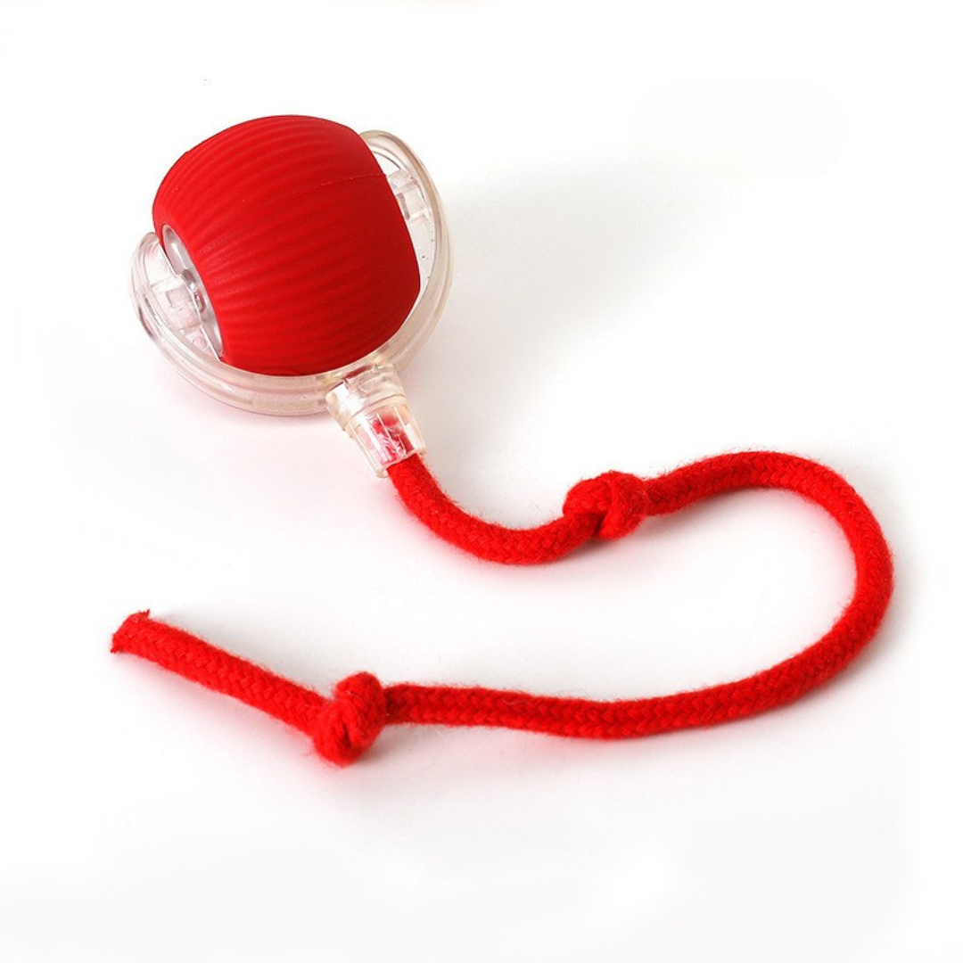 SmartBall™ | Interactive Cat Toy