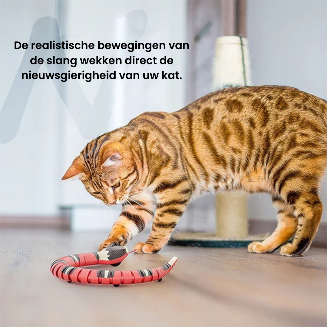 PurrSnake™ | Laat je kat jagen, springen en spelen