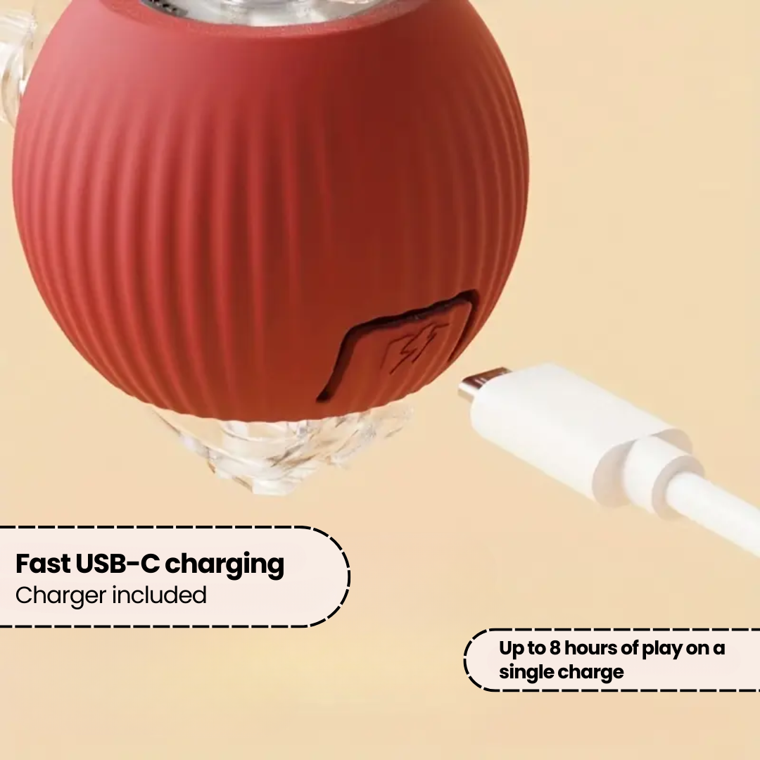 SmartBall™ | Interactive Cat Toy