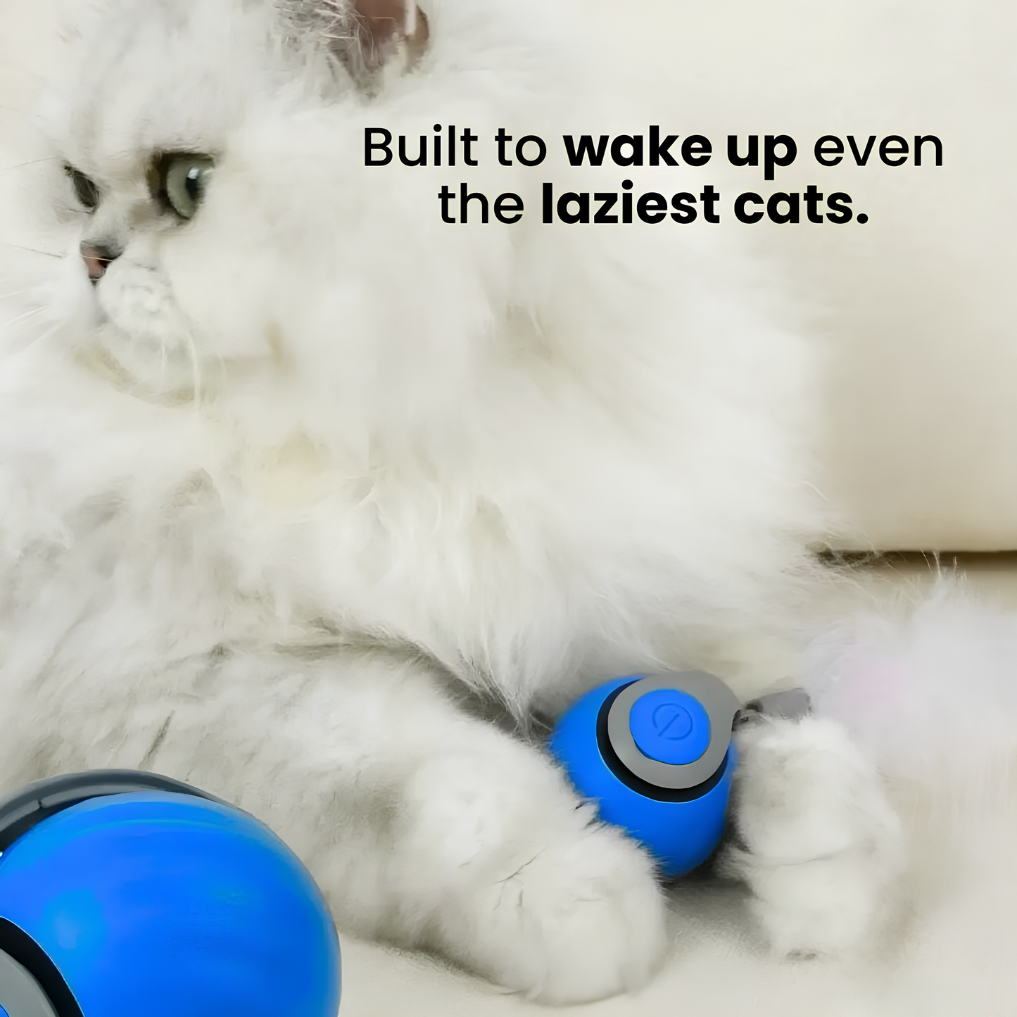 ChaseMaster Pro™ | The ultimate play experience for every active cat