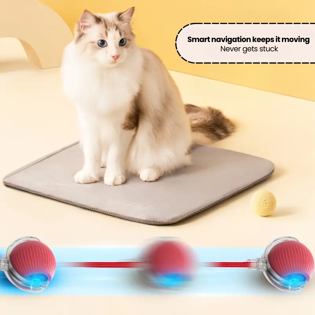 SmartBall™ | Interactive Cat Toy