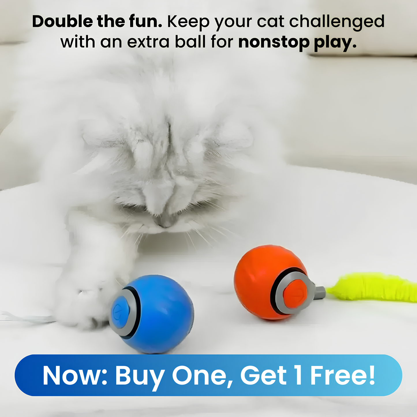 ChaseMaster Pro™ | The ultimate play experience for every active cat