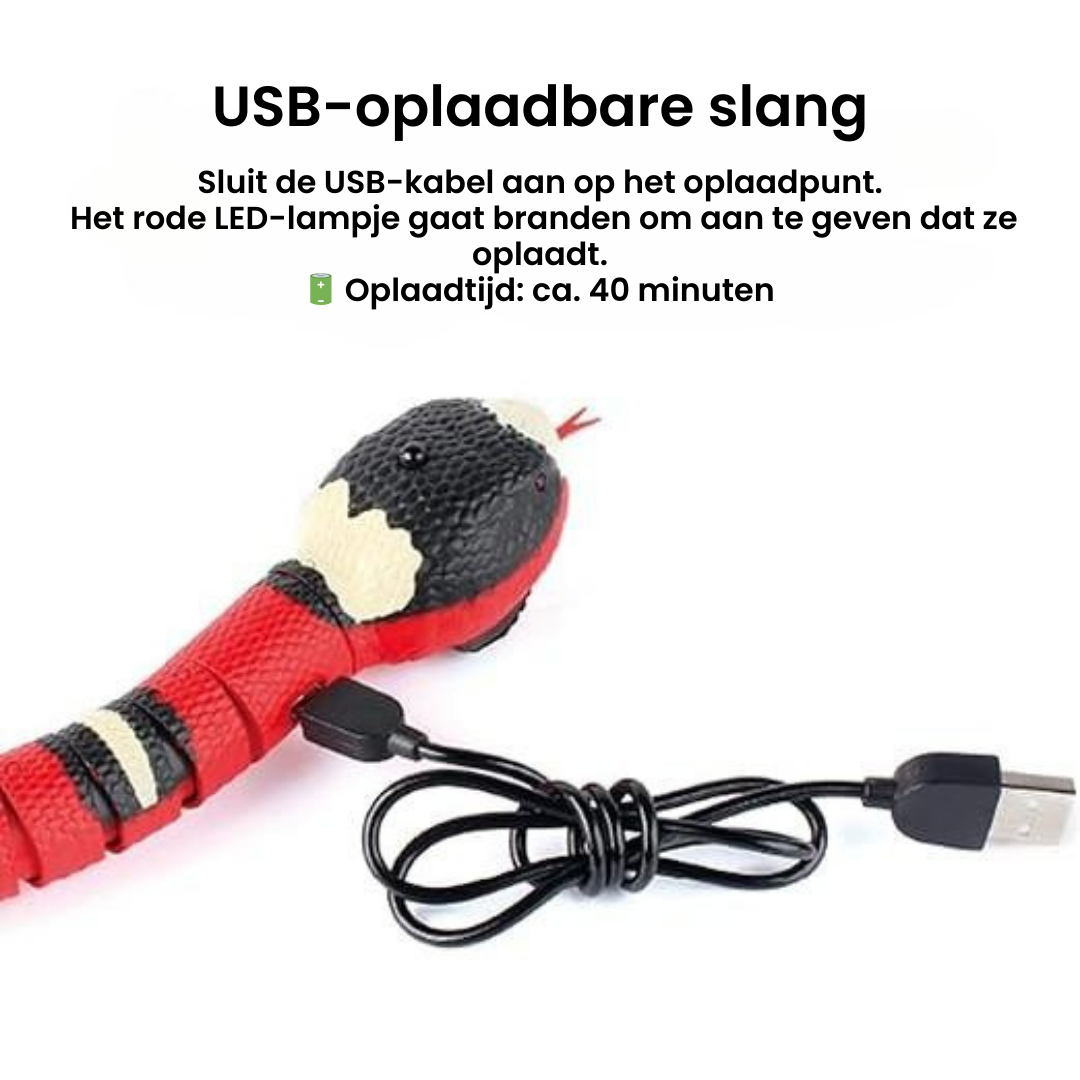 PurrSnake™ | Laat je kat jagen, springen en spelen