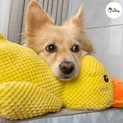 Quackie™ | The calming duck that melts stress away