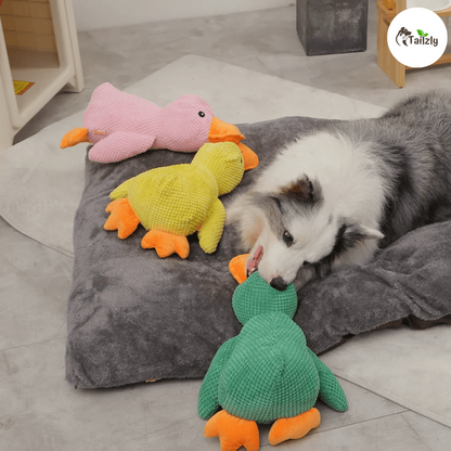 Quackie™ | The calming duck that melts stress away