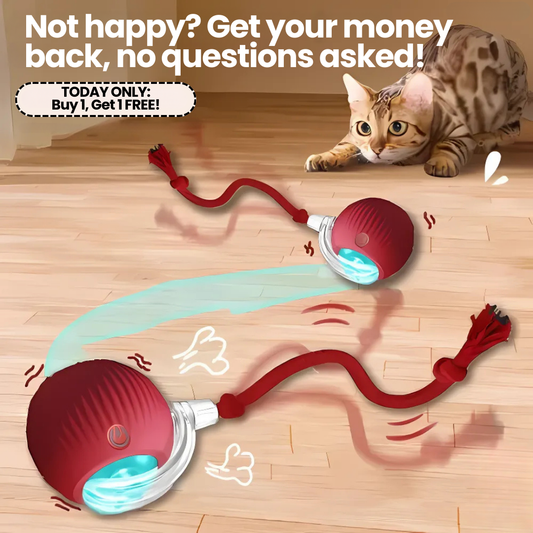 SmartBall™ | Interactive Cat Toy