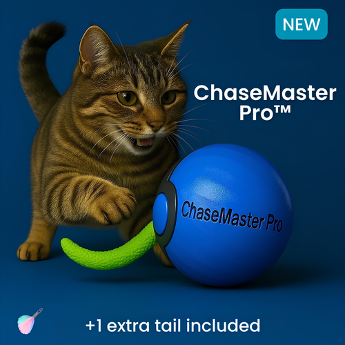 ChaseMaster Pro™ | The ultimate play experience for every active cat