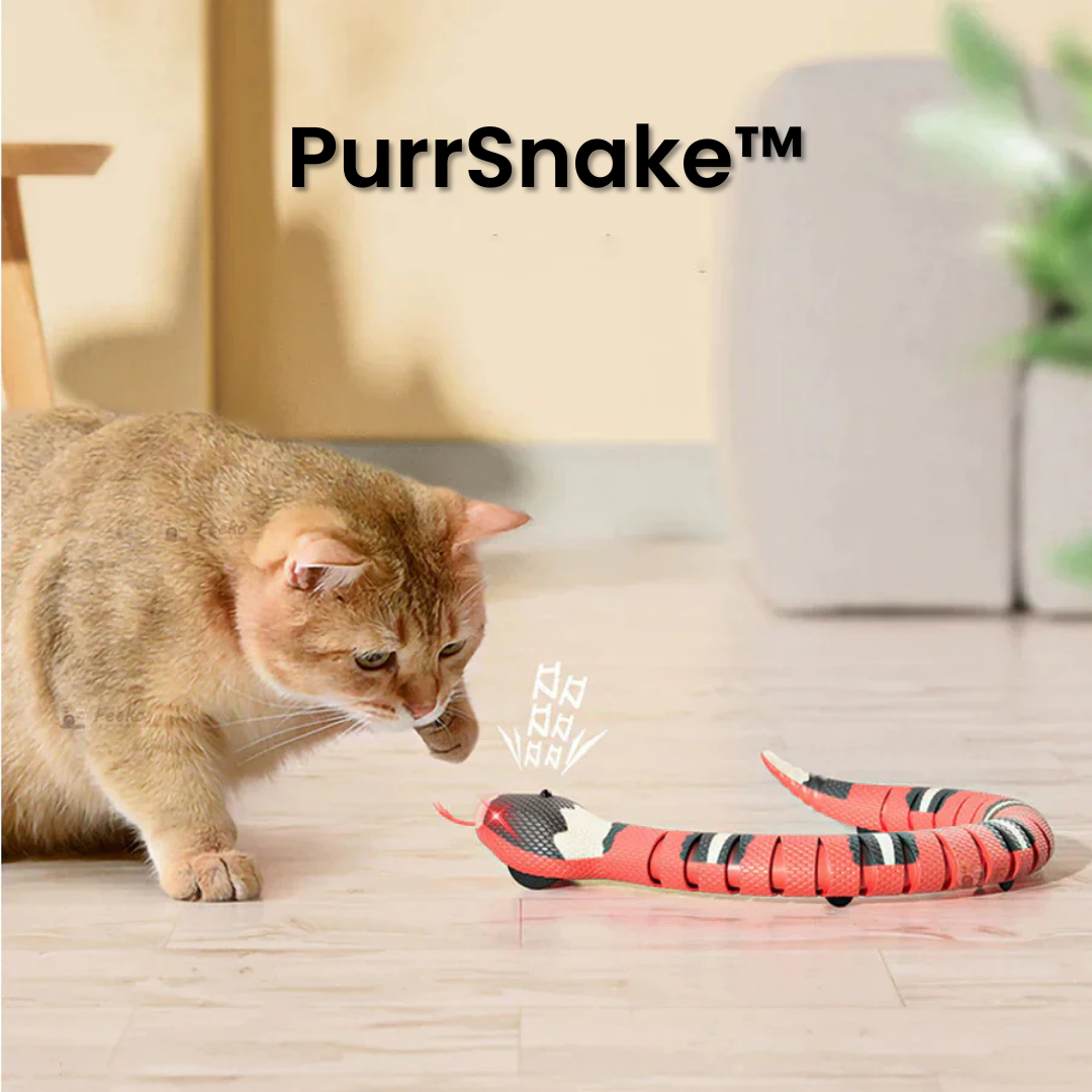 PurrSnake™ | Laat je kat jagen, springen en spelen