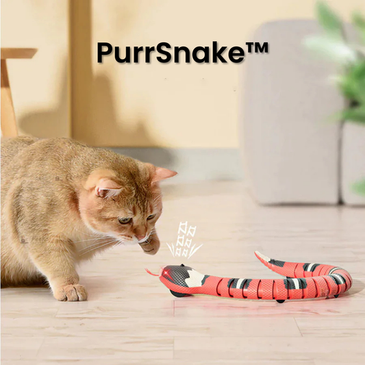PurrSnake™ | Laat je kat jagen, springen en spelen