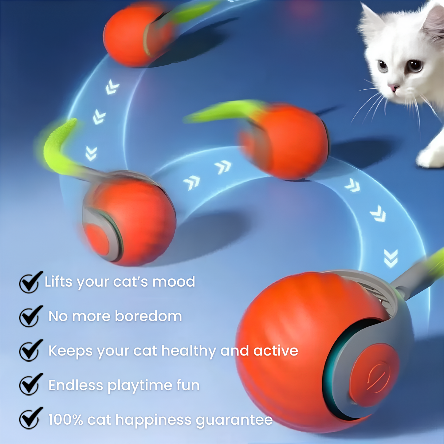 ChaseMaster Pro™ | The ultimate play experience for every active cat
