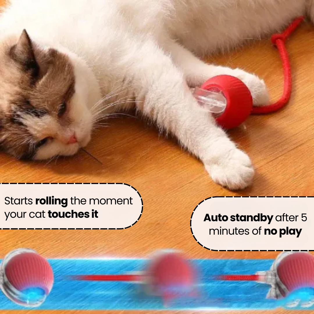 SmartBall™ | Interactive Cat Toy