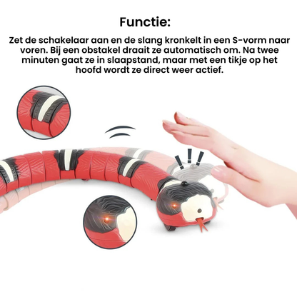 PurrSnake™ | Laat je kat jagen, springen en spelen
