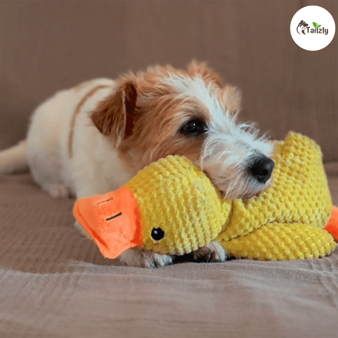 Quackie™ | The calming duck that melts stress away