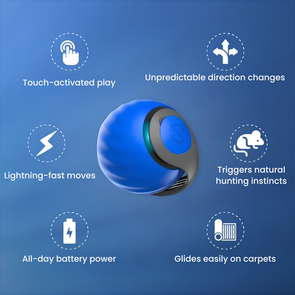 ChaseMaster Pro™ | The ultimate play experience for every active cat