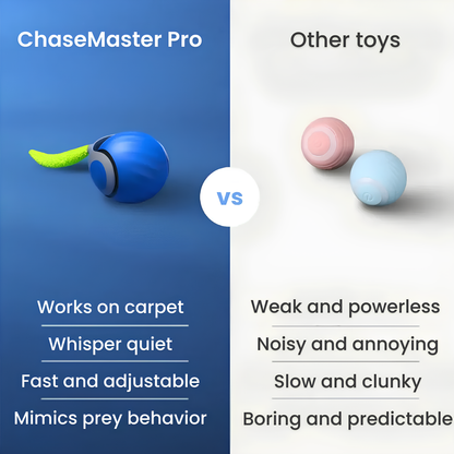 ChaseMaster Pro™ | The ultimate play experience for every active cat