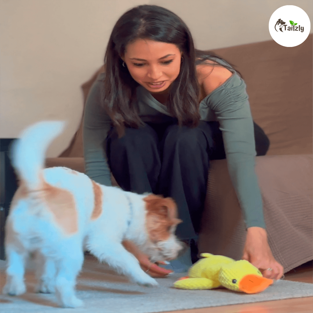 Quackie™ | The calming duck that melts stress away