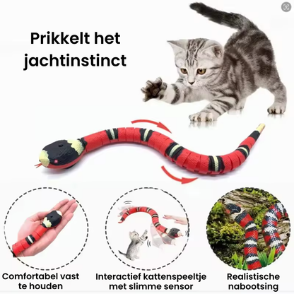 PurrSnake™ | Laat je kat jagen, springen en spelen