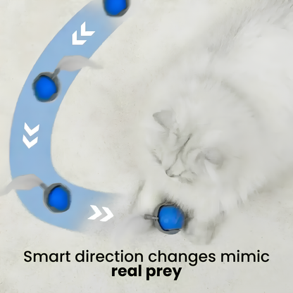 ChaseMaster Pro™ | The ultimate play experience for every active cat
