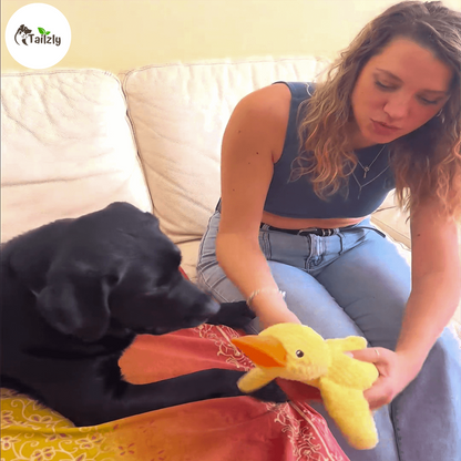 Quackie™ | The calming duck that melts stress away