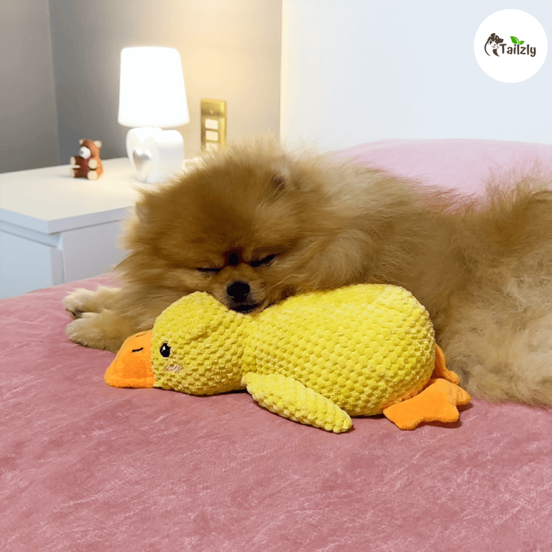 Quackie™ | The calming duck that melts stress away