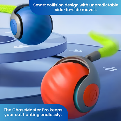 ChaseMaster Pro™ | The ultimate play experience for every active cat