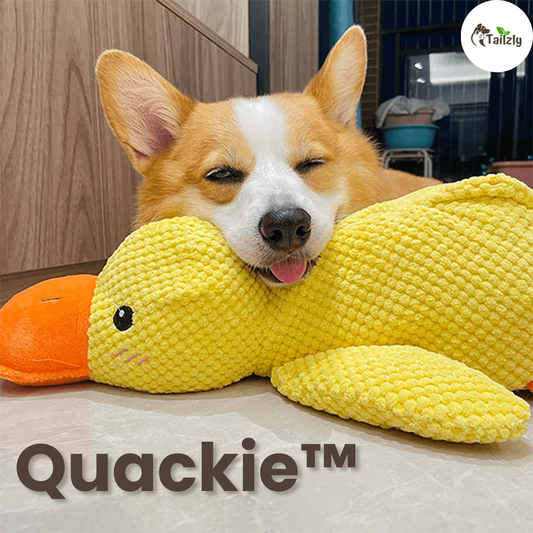 Quackie™ | The calming duck that melts stress away